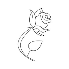 Rose flower continuous one line drawing  outline vector illustration