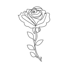 Rose flower continuous one line drawing  outline vector illustration