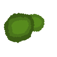 Green Trees Top View 