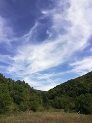 Fototapeta na wymiar clouds over the forest