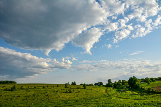 rural landscape. field and grass.