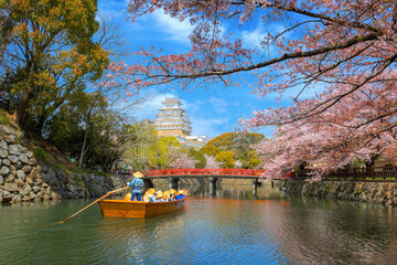 Himeji castle moat boat tour during full bloom cherry blossom in Hyogo, Japan