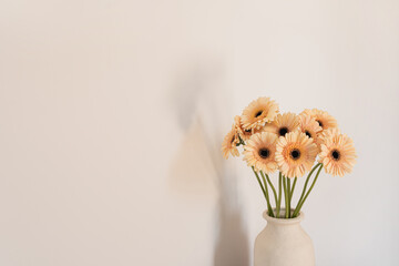 Aesthetic flowers composition. Elegant gentle gerbera daisy flowers bouquet in white clay vase