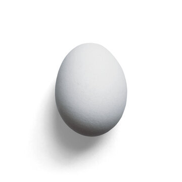 Minimalist image of an egg with its shadow, with transparent background