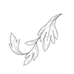 vintage baroque ornaments