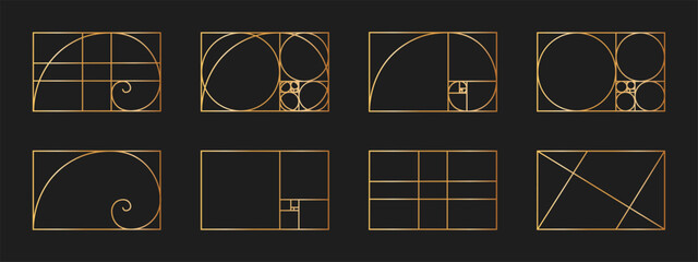 Set of golden ratio templates. Logarithmic spiral in rectangle frame divided on lines, squares and circles. Fibonacci sequence grids. Ideal nature symmetry proportions layouts. Vector illustration - obrazy, fototapety, plakaty