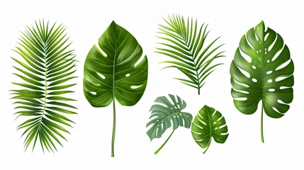 Stickers pour porte Monstera Tropical realistic leaves