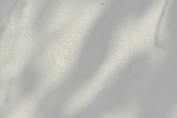 Sunlight shadows, natural branches on concrete cement wall background surface. - obrazy, fototapety, plakaty