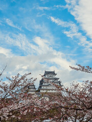 Sunny spring day over Himeji castle, Japan 