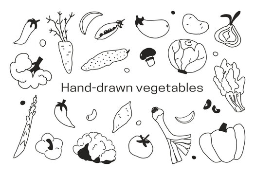 Vegetable vector illustrations in hand drawn cartoon style isolated on white background. Doodle veggies broccoli, eggplant, onion, cucumber, spinach, cabbage