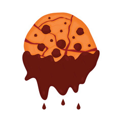 cookie with chocolate illustration