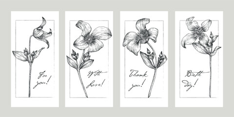Fototapeta na wymiar Vintage Vector floral template for design greeting card invitation gift. Outline style flowers clematis. Black elements on white background. Hand drawn illustration