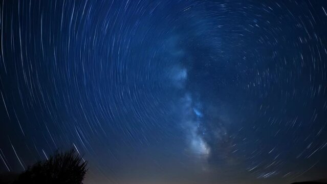 Long exposure video of stars with the silhouette of trees against the night sky
