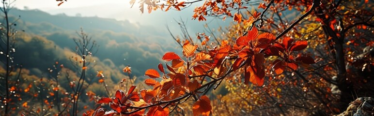 Autumn Glow: Sunset and Amber Light Wallpaper and Design, Generative AI