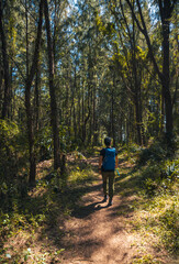 Hiking in tropical forest mountain