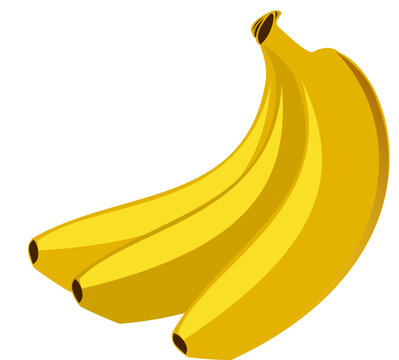 Ripe and Ready - An eye-catching image showcasing a bunch of ripe bananas, ready to be enjoyed, ideal for promoting nutrition and healthy snack options. Banana vector illustration.