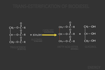 Fototapeta premium Trans-esterification of biodiesel molecular skeletal chemical formula 