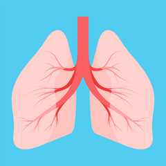 Lungs icon isolated on blue background