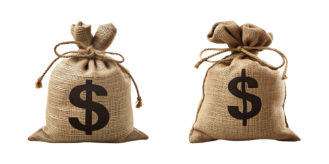 bag of money isolated on transparent background