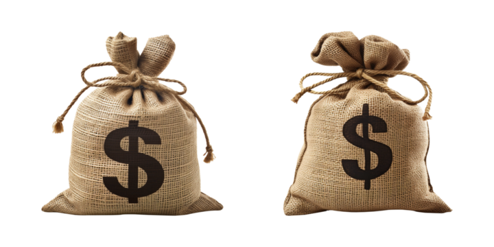 bag of money isolated on transparent background