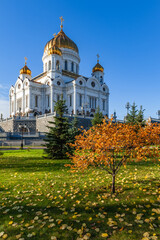 Cathedral of Christ the Savior. Park area in autumn sunny weather.