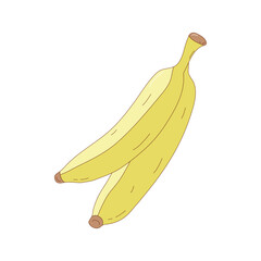 Hand drawn banana fruit vector illustration. Creative hand drawn fruit vector element design