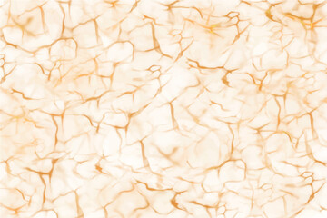 Gold fluid panoramic white Marble background with marble texture. Marble granite wall surface stone slab golden pattern graphic. Abstract light elegant counter texture smooth tile silver gray 