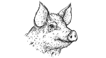 Pork, pig head. Vintage retro print, black white pig sketch ink pencil style drawing, engrave old school. Sketch artwork silhouette head pig, white background. Side view profile. Vector Illustration
