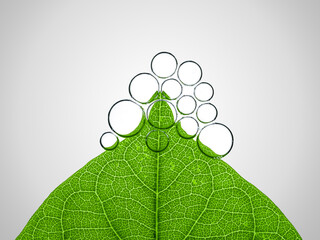 Plant photosynthesis process by take up carbon dioxide and release oxygen.