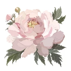 Outdoor kussens Pink peony with leaves. Vector isolated illustration. © Nastasja