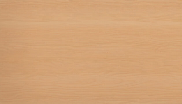 Beech tree texture. Raw unfinished surface
