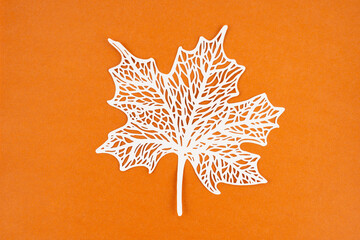 Tropical leaf made from paper cutting on orange color.