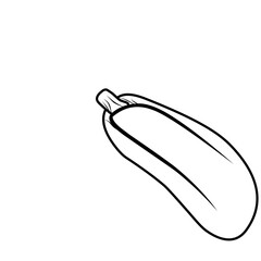 Hand Drawn Zuuchini Vegetable 