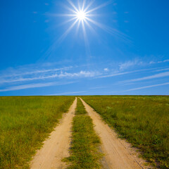 Fototapeta na wymiar green prairie with ground road under a sparkle sun, rural spring scene