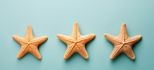 Seashell Starfish on Sandy Beach: Tranquil Blue Summer Vacation Concept.