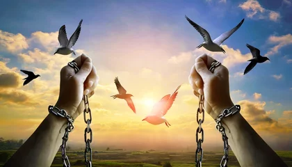 Foto op Plexiglas chains on hand that transform into peace birds freedom and charge concept © Marcelo