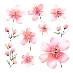 set of pink cotton flowers