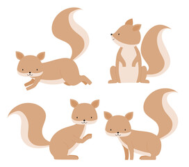 Fototapeta premium Cute squirrel set with many poses.