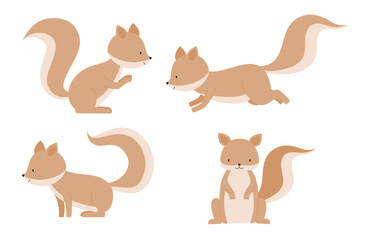 Cute squirrel set with many poses.