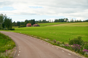 Left curve in country road with green field and Swedish farm house