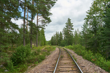 Railway tracks on trackbed through forest in summer