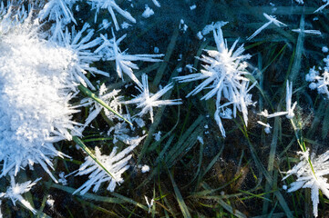 Nature detail in the cold season, ice crystals in the morning, beautiful ice crystals background