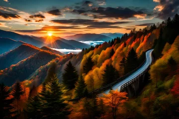 Peel and stick wall murals Tatra Mountains sunset in the forest of mountains 