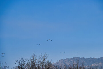 landscape, mountains, view, nature, sunrise, spain, madrid, sky,
