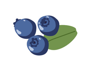 Bilberry hand drawn doodle sketch isolated. Flat vector Food template for nursery design, sticker, logo, diet concept, farmers market. Sketch Logo illustration of healthy berry. Blueberry with leaf