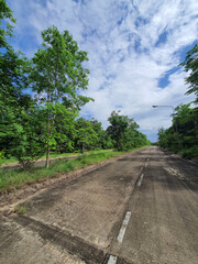 asphalt road in forest.
