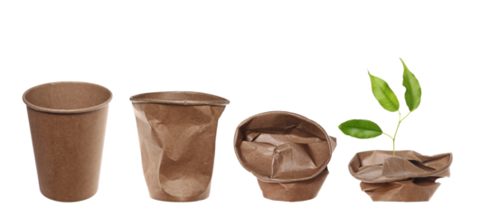 Disposable crumpled, brown paper cup for throwing away and recycling with plant that germinates isolated on white 