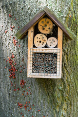 House for insects. A box made of bark, straw and stones. Bricks, cones and bamboo for the insect to settle there. Home hotel for wild bees. Eco friendly do-it-yourself craft for a garden DIY gardening