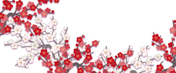 和風な紅白の梅の花の背景、背景透明、png