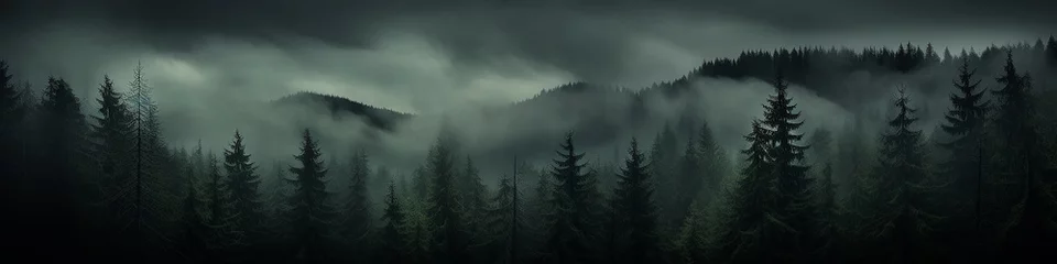 Foto op Plexiglas a long narrow panorama of a coniferous northern forest in the fog of an autumn day, a landscape of wildlife © kichigin19